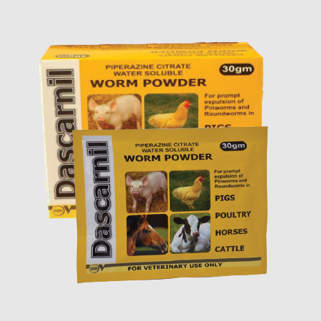 Dascarnil Worm Powder