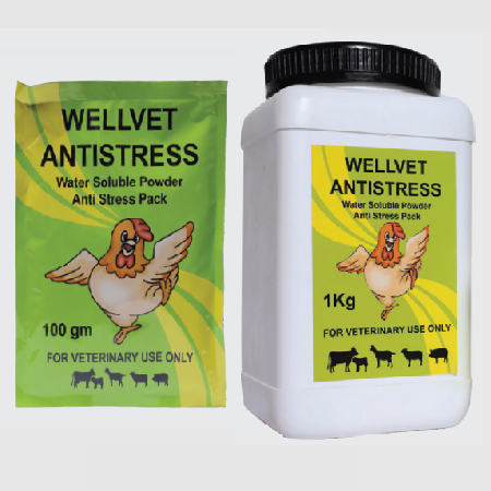 Wellvet Antistress